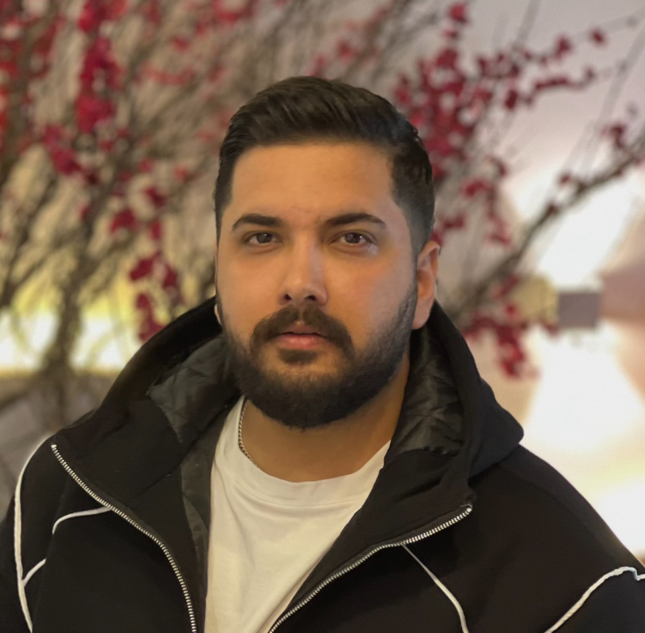 Aref's Profile Picture